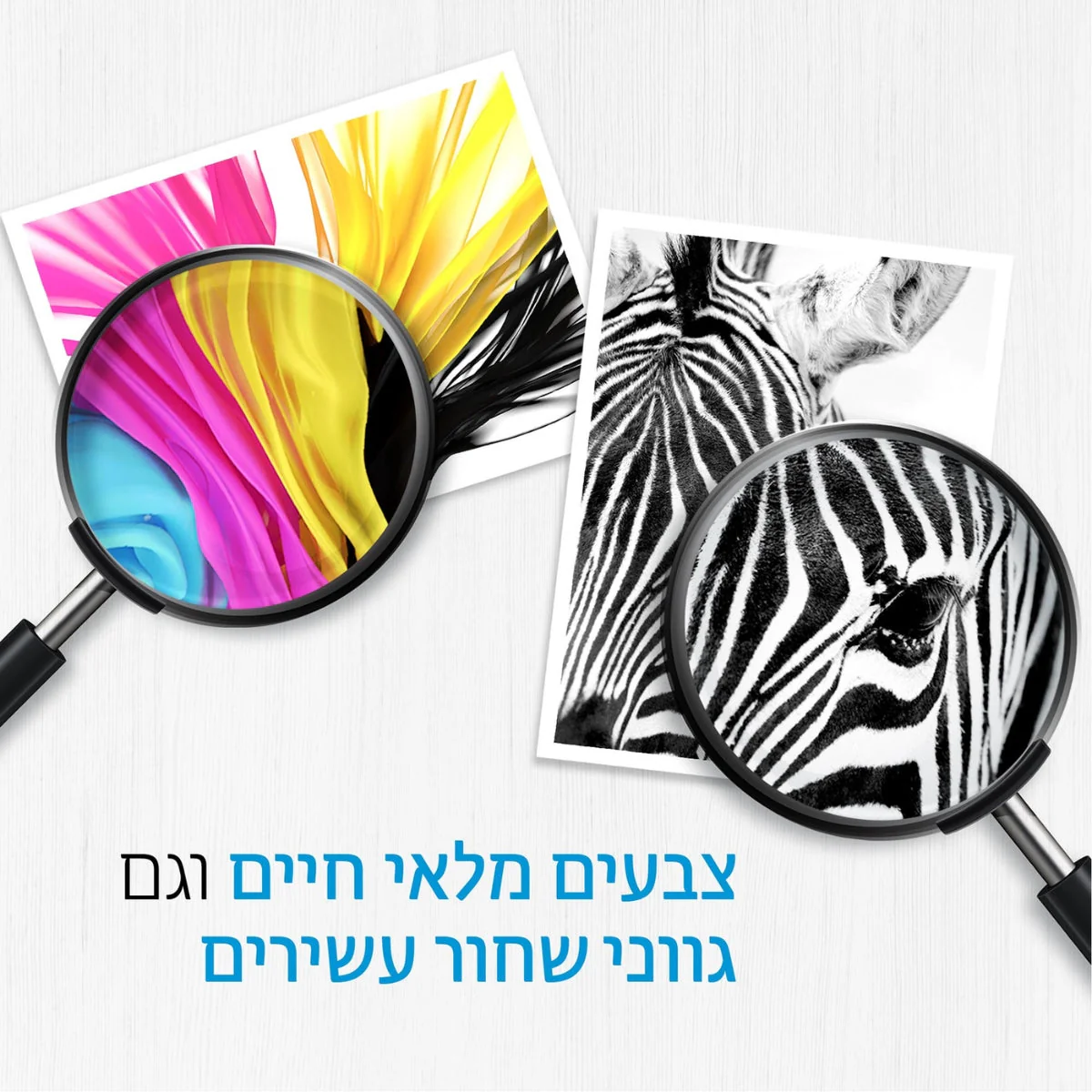 תמונת מוצר 9